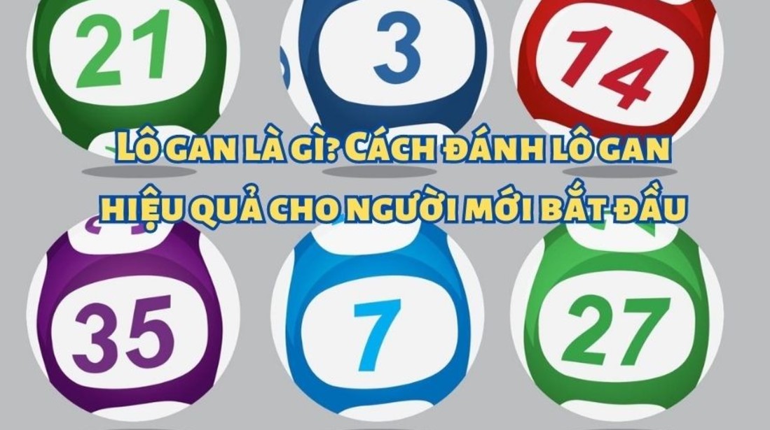 Giới thiệu sơ lược về lô gan là gì?